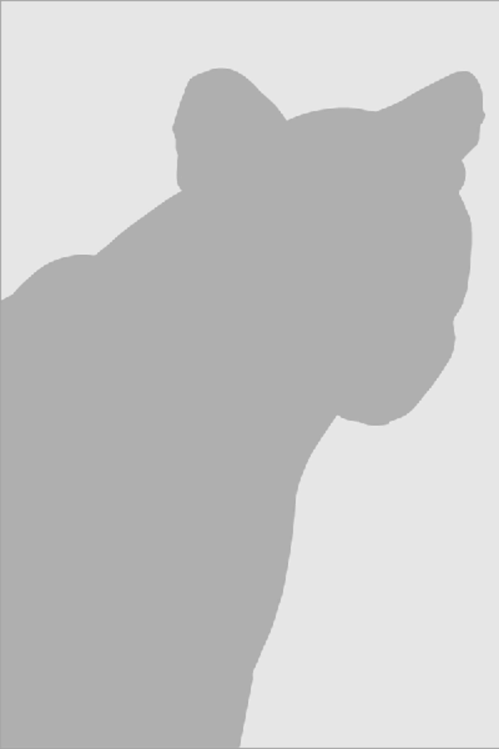 Placeholder (Veronica Anderson)